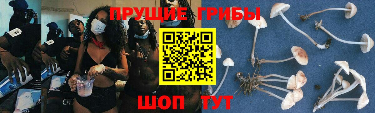 Зеленокумск  Псилоцибиновые грибы ЛСД  Вход с VPN 